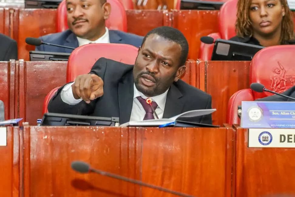 Sen. Edwin Sifuna making a point in the Senate chamber.