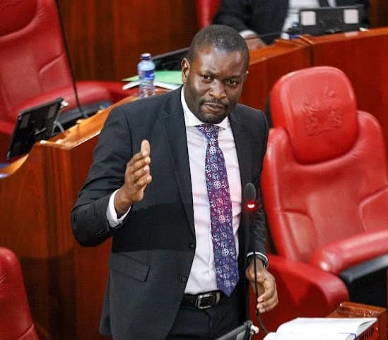 Sen. Edwin Sifuna on his feet addressing the Senate chamber.